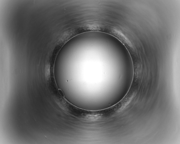 X0000093600213200710151227