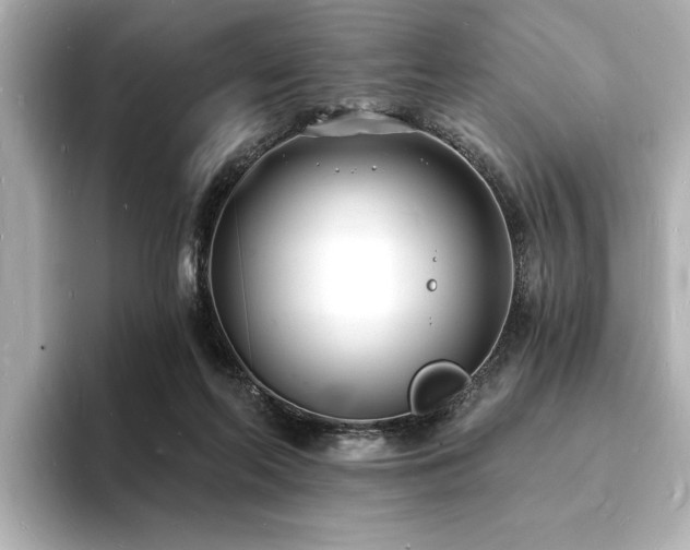 X0000093600214200710151227