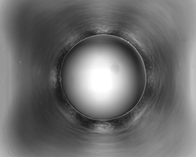 X0000093600215200710151227