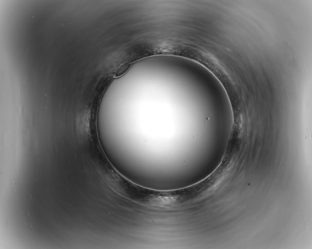 X0000093600217200710151227