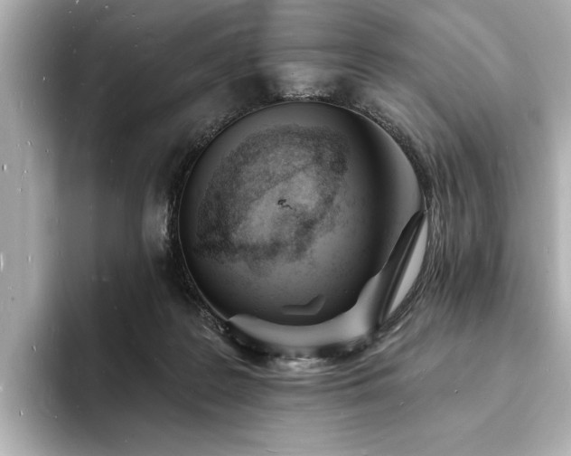 X0000093600219200710151227