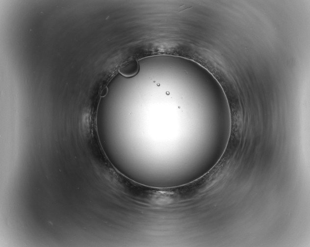 X0000093600222200710151227