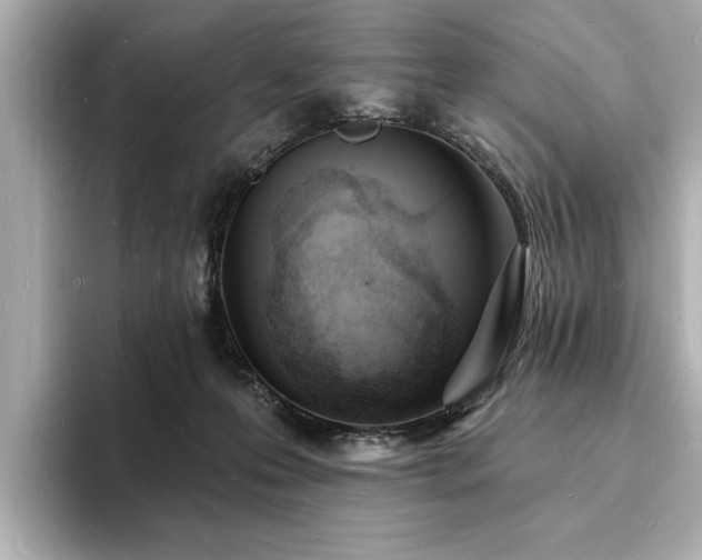 X0000093600223200710151227