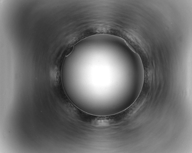 X0000093600228200710151226