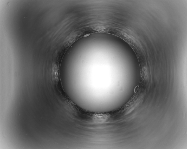 X0000093600234200710151226
