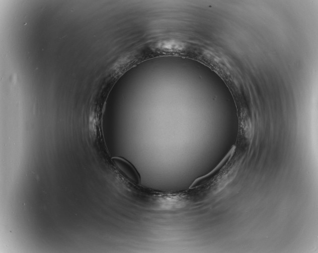 X0000093600235200710151226