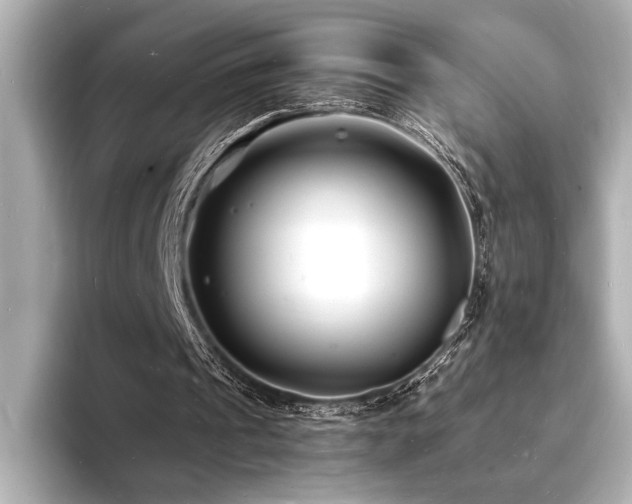 X0000093600241200710151226