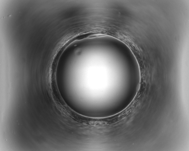 X0000093600242200710151226