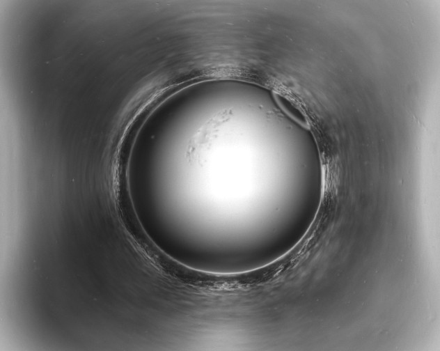 X0000093600243200710151226