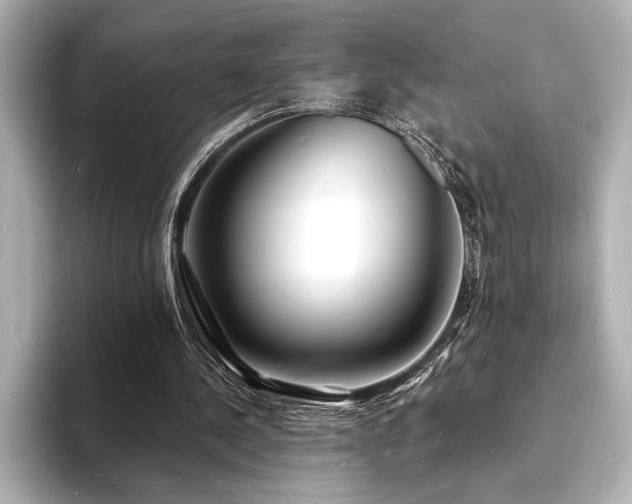 X0000093600244200710151226