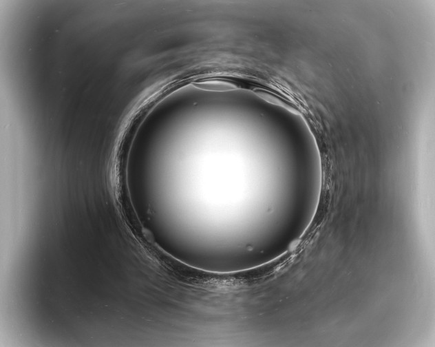 X0000093600245200710151226