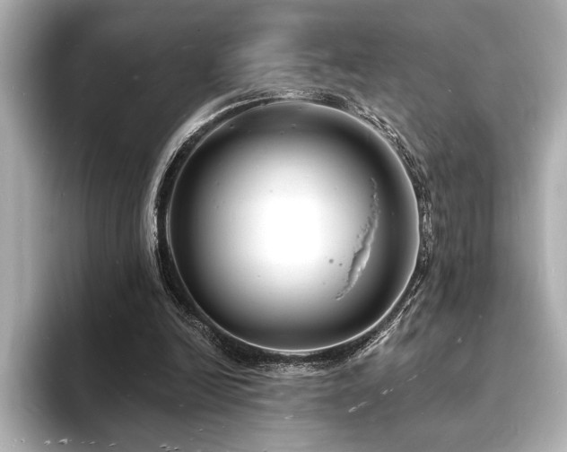X0000093600246200710151226