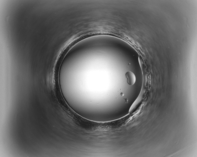 X0000093600248200710151226