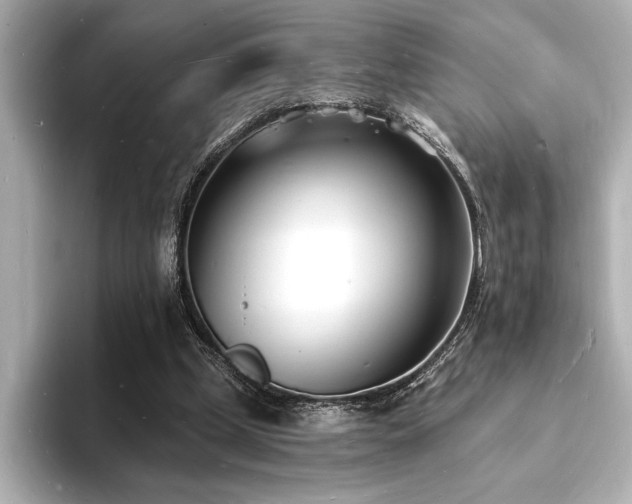 X0000093600249200710151226
