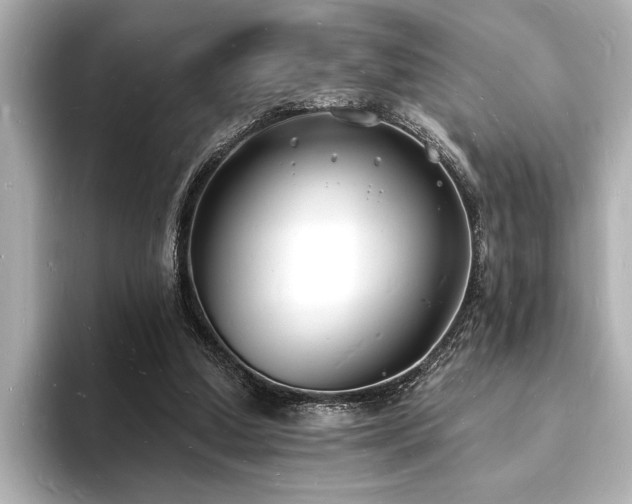 X0000093600250200710151226