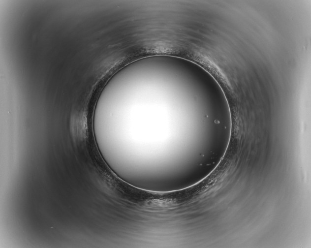 X0000093600251200710151226