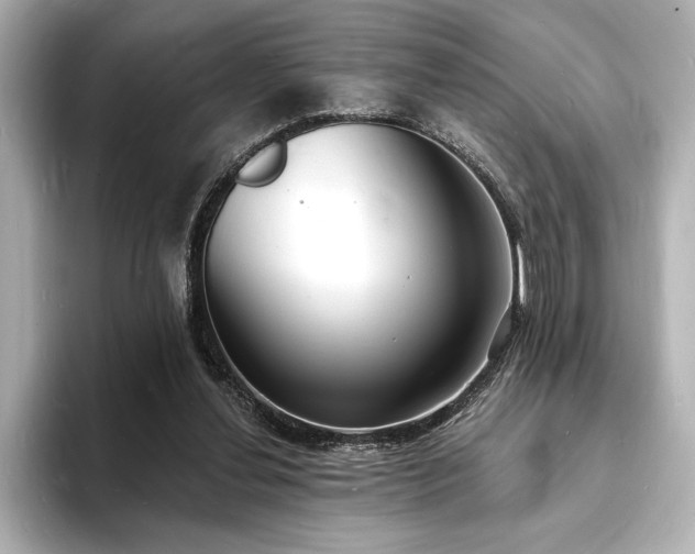 X0000093600252200710151226