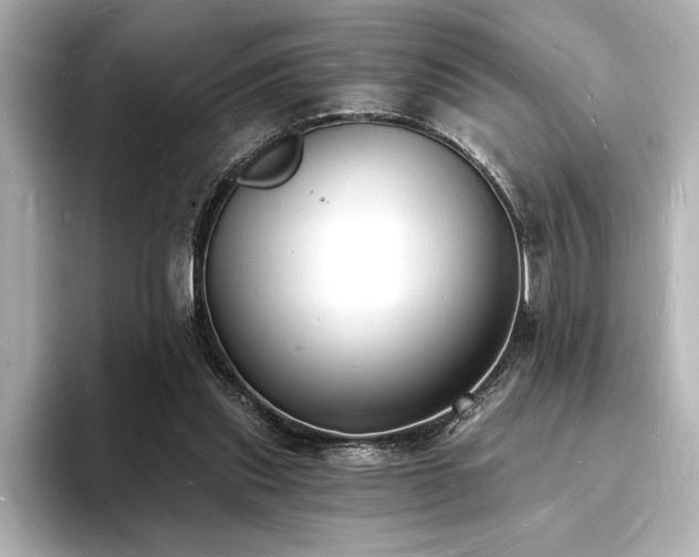 X0000093600253200710151226