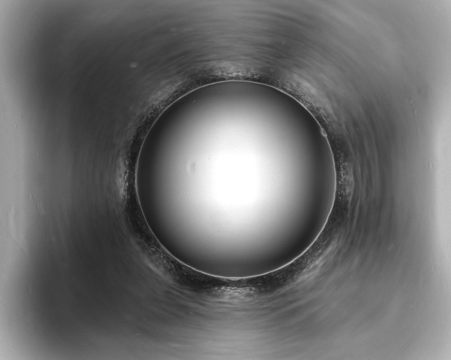 X0000093600255200710151226