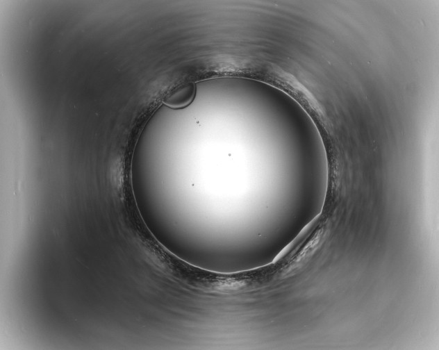 X0000093600257200710151226