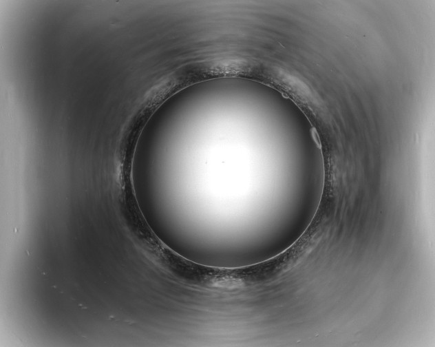 X0000093600258200710151226