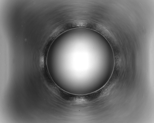 X0000093600262200710151226