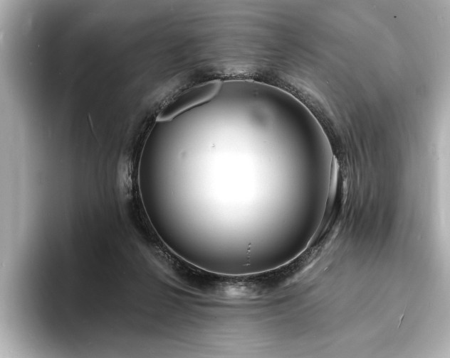 X0000093600264200710151226