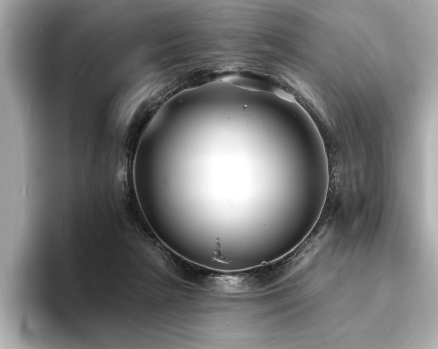 X0000093600265200710151226