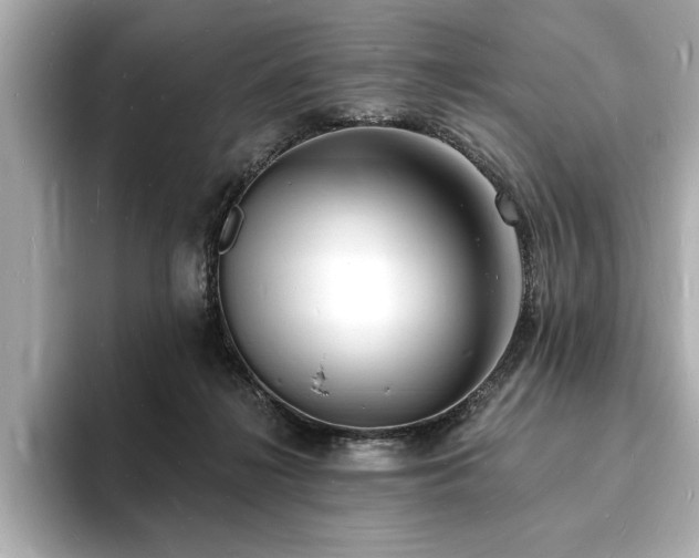 X0000093600268200710151226