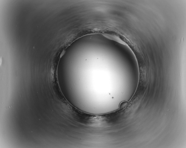 X0000093600269200710151226