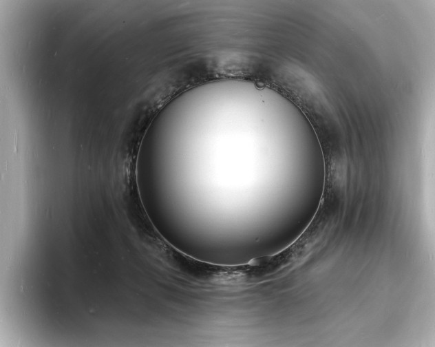 X0000093600271200710151226