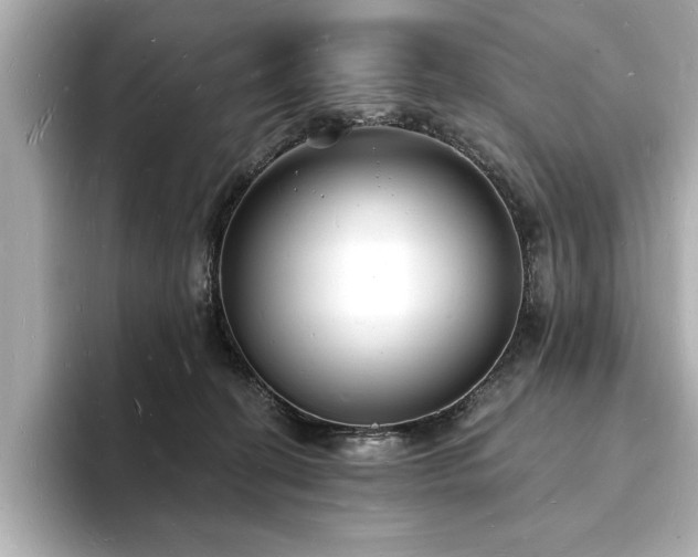 X0000093600274200710151226