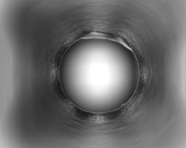 X0000093600276200710151226