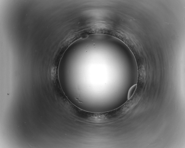 X0000093600278200710151226