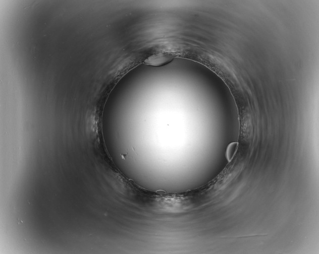 X0000093600282200710151226