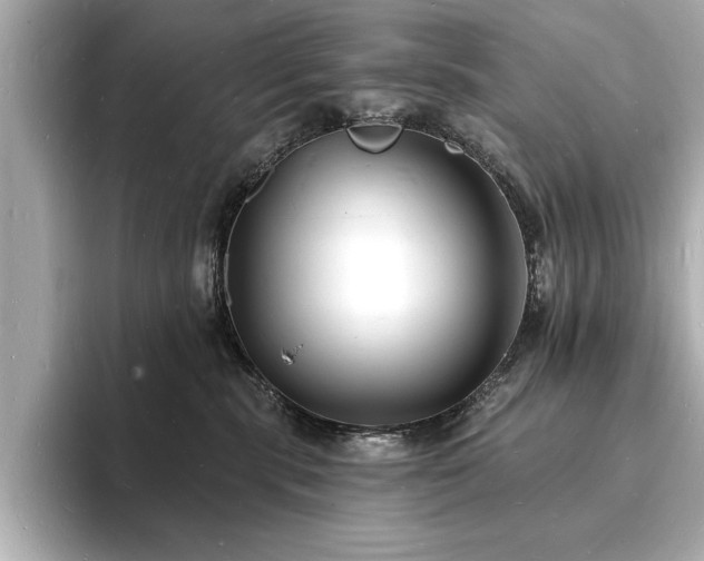 X0000093600283200710151226