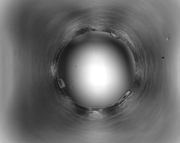 X0000093600285200710151226