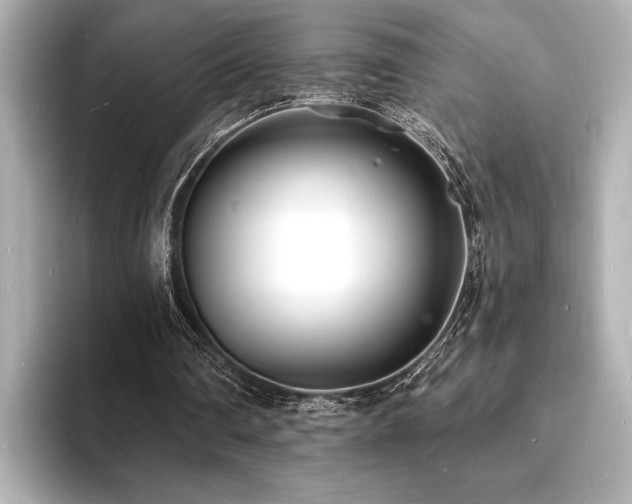 X0000093600290200710151226
