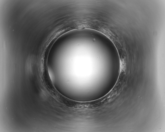 X0000093600291200710151226