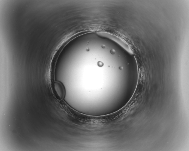 X0000093600292200710151226
