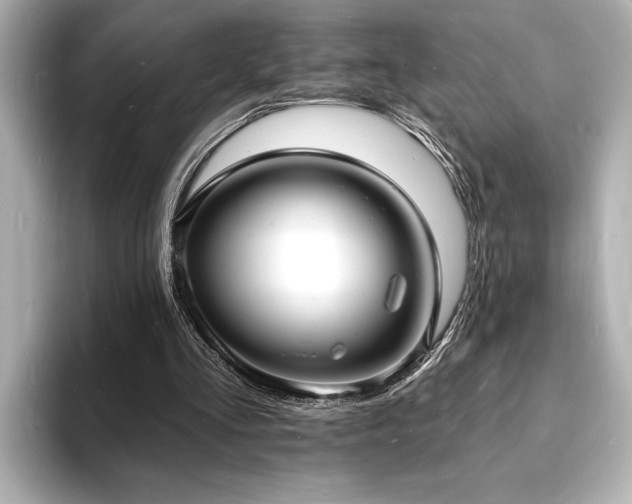 X0000093600293200710151226