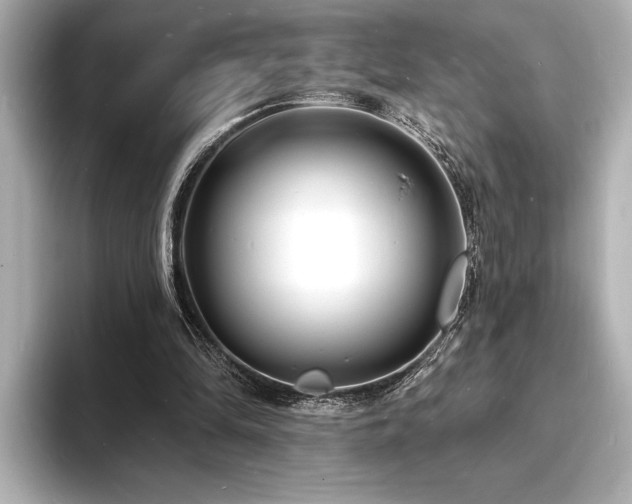 X0000093600294200710151226