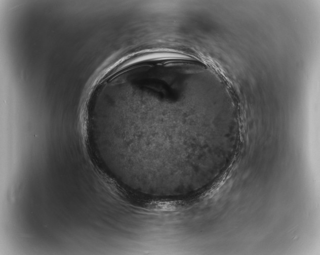 X0000093600295200710151226