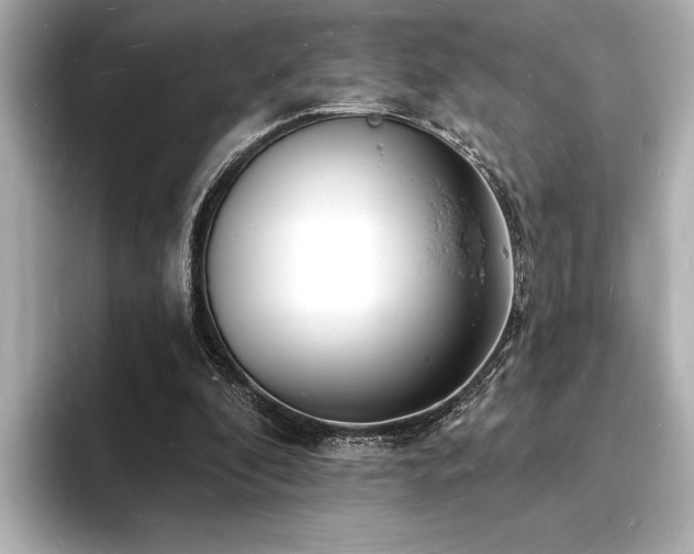 X0000093600296200710151226