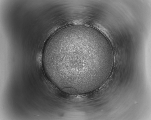 X0000093600297200710151226
