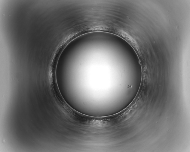 X0000093600298200710151226
