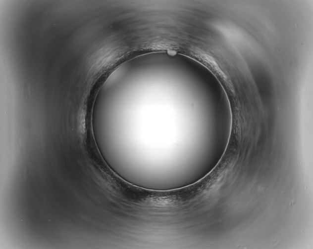 X0000093600299200710151226
