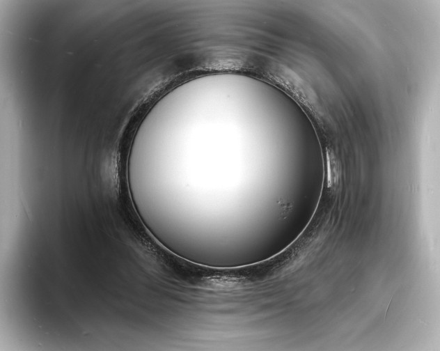 X0000093600300200710151226