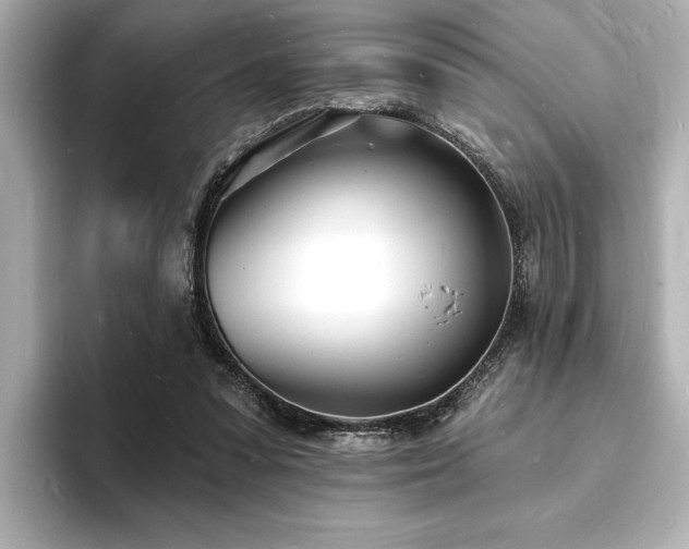 X0000093600303200710151226