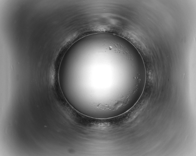 X0000093600304200710151226